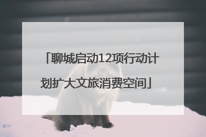 聊城启动12项行动计划扩大文旅消费空间