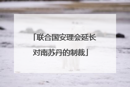 联合国安理会延长对南苏丹的制裁