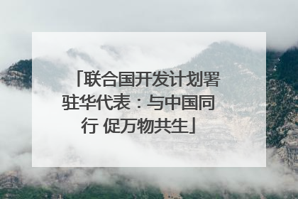 联合国开发计划署驻华代表：与中国同行 促万物共生