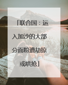 联合国：运入加沙的大部分面粉遭劫掠或哄抢