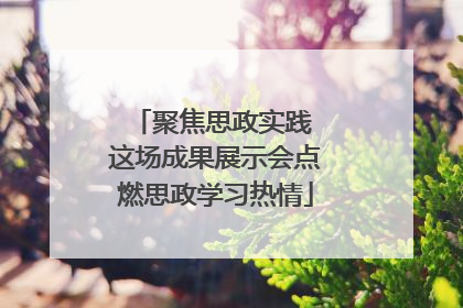聚焦思政实践 这场成果展示会点燃思政学习热情