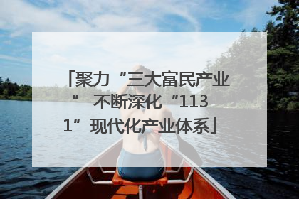 聚力“三大富民产业” 不断深化“1131”现代化产业体系