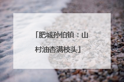 肥城孙伯镇：山村油杏满枝头