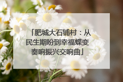 肥城大石铺村：从民生期盼到幸福蝶变奏响振兴交响曲