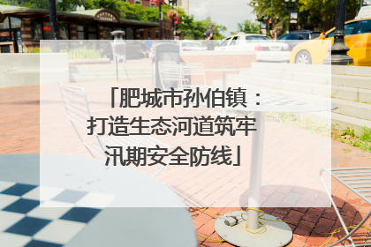 肥城市孙伯镇：打造生态河道筑牢汛期安全防线