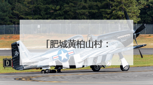 肥城黄柏山村：山野间绘就“小而美”乡村诗画