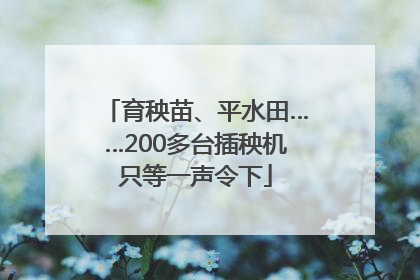育秧苗、平水田……200多台插秧机只等一声令下