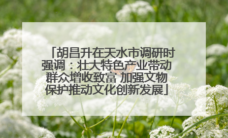 胡昌升在天水市调研时强调：壮大特色产业带动群众增收致富 加强文物保护推动文化创新发展