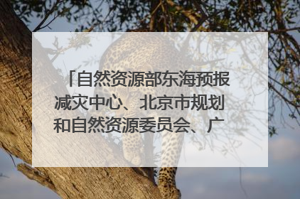 自然资源部东海预报减灾中心、北京市规划和自然资源委员会、广东省林业系统等正在招聘｜招聘信息