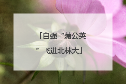 自强“蒲公英”飞进北林大