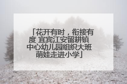花开有时，衔接有度 宜宾江安留耕镇中心幼儿园组织大班萌娃走进小学