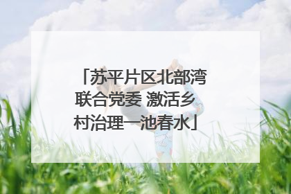 苏平片区北部湾联合党委 激活乡村治理一池春水