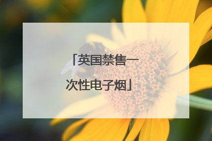 英国禁售一次性电子烟