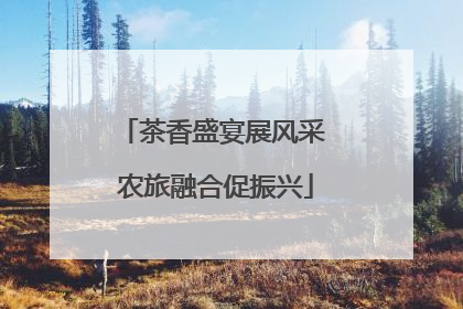 茶香盛宴展风采 农旅融合促振兴