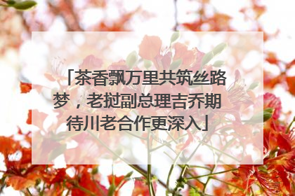 茶香飘万里共筑丝路梦，老挝副总理吉乔期待川老合作更深入