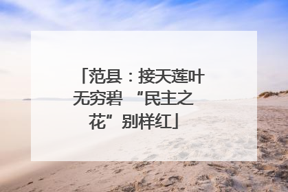 范县：接天莲叶无穷碧 “民主之花”别样红