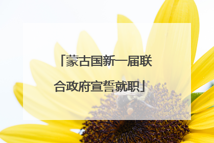 蒙古国新一届联合政府宣誓就职