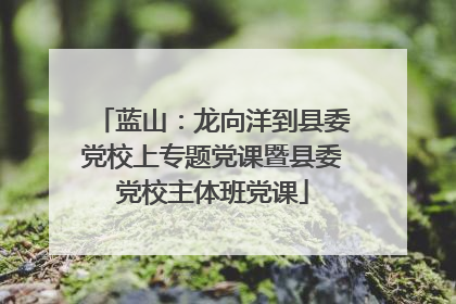 蓝山：龙向洋到县委党校上专题党课暨县委党校主体班党课