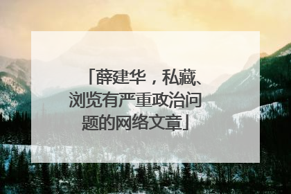 薛建华，私藏、浏览有严重政治问题的网络文章