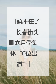 藏不住了！长春街头耐寒月季集体“C位出道”
