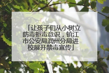 让孩子们从小树立防毒拒毒意识，镇江市公安局润州分局进校展开禁毒宣传