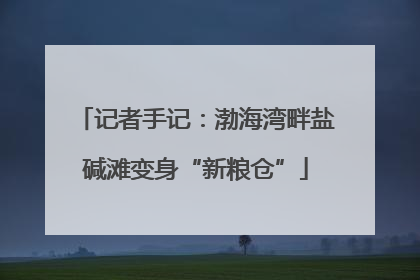 记者手记：渤海湾畔盐碱滩变身“新粮仓”