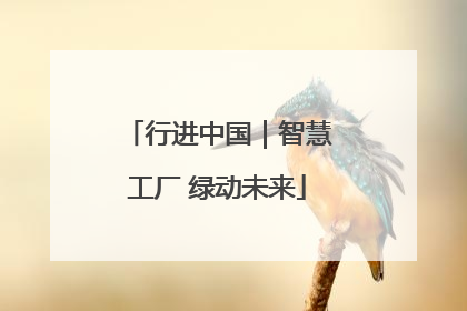 行进中国｜智慧工厂 绿动未来
