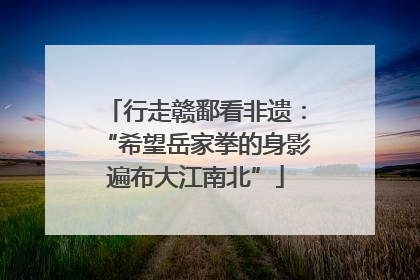 行走赣鄱看非遗：“希望岳家拳的身影遍布大江南北”