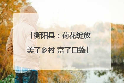 衡阳县：荷花绽放 美了乡村 富了口袋