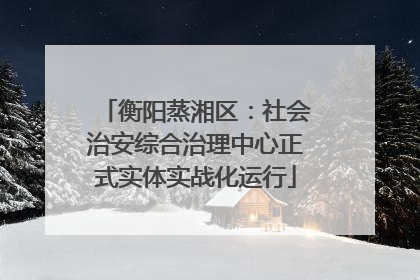 衡阳蒸湘区：社会治安综合治理中心正式实体实战化运行