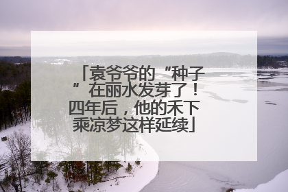 袁爷爷的“种子”在丽水发芽了！四年后，他的禾下乘凉梦这样延续