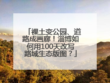 裸土变公园、道路成画廊！淄博如何用100天改写路域生态版图？