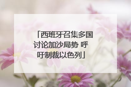 西班牙召集多国讨论加沙局势 呼吁制裁以色列