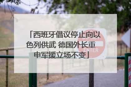 西班牙倡议停止向以色列供武 德国外长重申军援立场不变