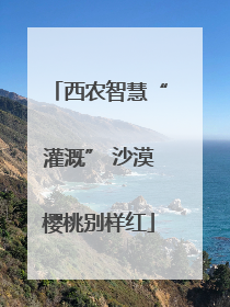 西农智慧“灌溉” 沙漠樱桃别样红