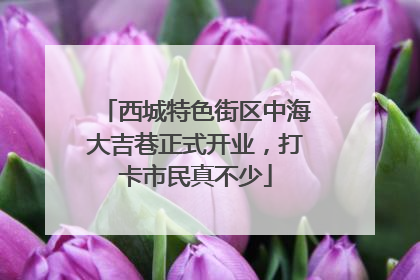 西城特色街区中海大吉巷正式开业，打卡市民真不少