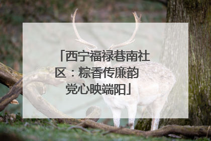 西宁福禄巷南社区：粽香传廉韵 党心映端阳