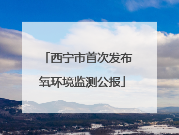 西宁市首次发布氧环境监测公报