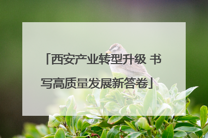 西安产业转型升级 书写高质量发展新答卷