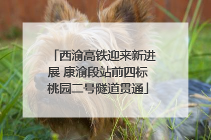 西渝高铁迎来新进展 康渝段站前四标桃园二号隧道贯通