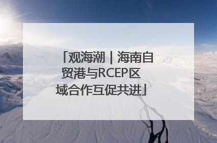 观海潮｜海南自贸港与RCEP区域合作互促共进