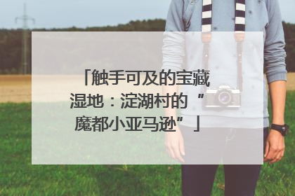 触手可及的宝藏湿地：淀湖村的“魔都小亚马逊”