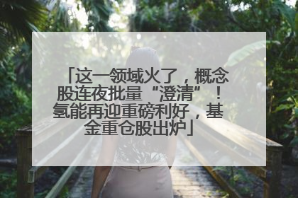 这一领域火了，概念股连夜批量“澄清”！氢能再迎重磅利好，基金重仓股出炉