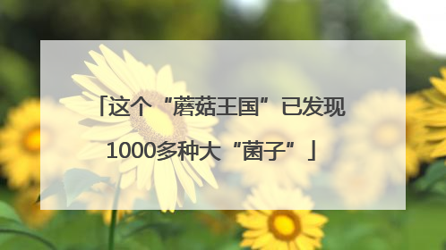 这个“蘑菇王国”已发现1000多种大“菌子”