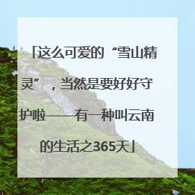 这么可爱的“雪山精灵”，当然是要好好守护啦——有一种叫云南的生活之365天