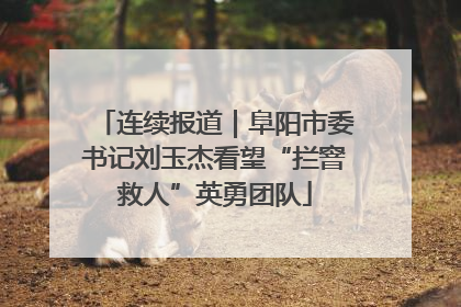 连续报道｜阜阳市委书记刘玉杰看望“拦窨救人”英勇团队