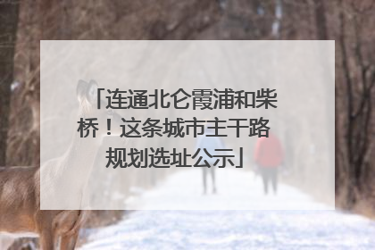 连通北仑霞浦和柴桥！这条城市主干路规划选址公示