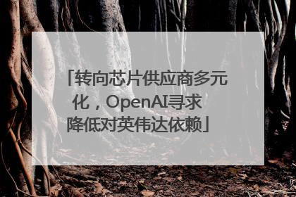 转向芯片供应商多元化，OpenAI寻求降低对英伟达依赖
