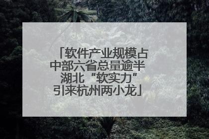 软件产业规模占中部六省总量逾半 湖北“软实力”引来杭州两小龙