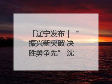 辽宁发布｜“振兴新突破 决胜勇争先” 沈阳这么干！